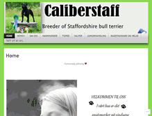 Tablet Screenshot of caliberstaff.com